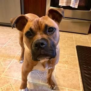 Meet your Posher, Amy